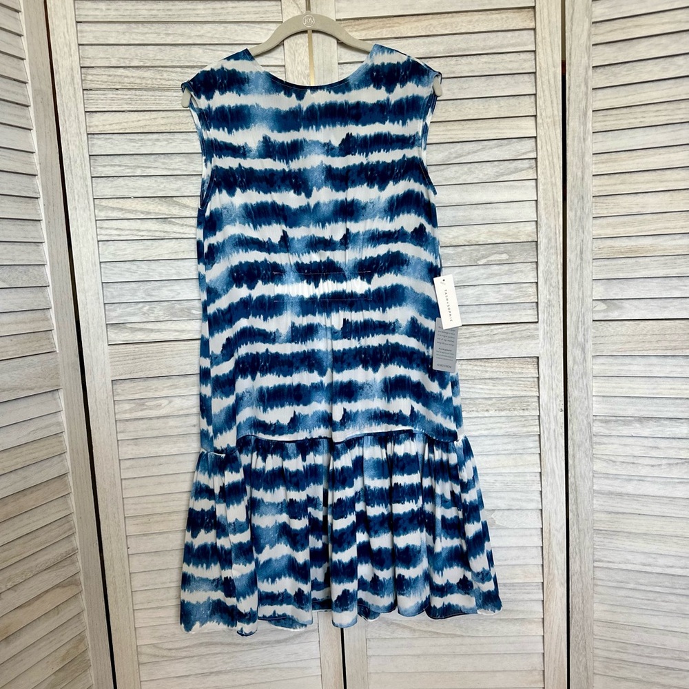 Blue and White Sleeveless Dress